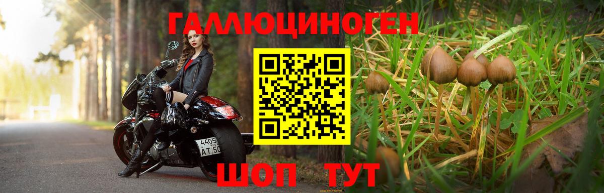 Псилоцибиновые грибы мухоморы Кострома
